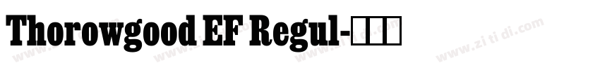 Thorowgood EF Regul字体转换